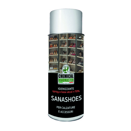 SANASHOES